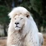 Marvin Re - @marvin_real_estate - Instagram