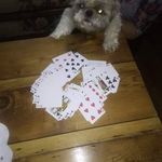 Marvin Rhoads - @marvin.rhoads.73 - Instagram