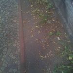 Marvin Rieger - @de.salvw - Instagram