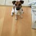 Marvin Ries - Facebook