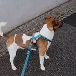 Marvin Ries - @ries.marvin - Instagram