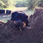 Marvin Robb - @mbrobb60 - Instagram