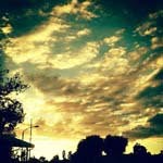 Marvin_Robbins - @marvin_robbinst - Instagram