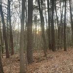 Marvin Robertson - @marvin.robertson.9484 - Instagram