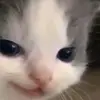 Jake你| - @marvinrusticomek - TikTok