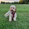 Martin Salisbury - @martin.salisbury4 - TikTok