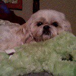 Marvin Mary Shaffer - @tick_tock_bug - Instagram