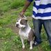 Marvin Sheets - Facebook