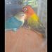 Marvin Santillan Solomon - Facebook