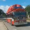 marvin soza - @g.oro15 - TikTok