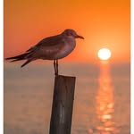 marvin spates - @spatesfineartphotos - Instagram