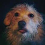 Marvin Stamm - @marvinastamm - Instagram