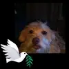 marvinstamm70 - @marvinstamm70 - TikTok