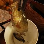 Marvin Stokes IV - Facebook