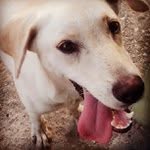 Marvin Strunk - @dehypect - Instagram