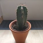 Marvin Tan - @marvin_d_king - Instagram