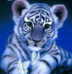 Marvin Tobar - Facebook