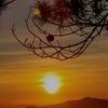 Marvin Townsend - @marvin.townsend2 - TikTok