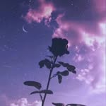 𝐌𝐚𝐫𝐯𝐢𝐧 𝐖𝐚𝐜𝐤𝐞𝐫 - @apollon4891 - Instagram