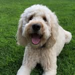 Marvin Wayne - @marveydoodle - Instagram