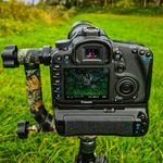 Marvin - @marvinwildlife - Instagram