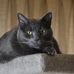 Marvin Willett - Facebook