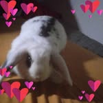 Marvin Wingerter - @wingertermarvin - Instagram