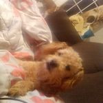 MarvinWinters - @marvinwinters853 - Instagram