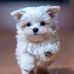 Marvin Zapf - Facebook