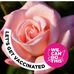 Marvis Thomas - Facebook