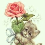 Marwan Halabi - @marwan_abuhalab - Instagram