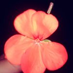 Mary Abboud - @mary_22_abboud - Instagram