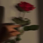 maryabed - @maryabed05 - Instagram