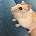 Mary Ackermann - @just.mary5 - Instagram
