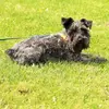 Mary Gerst Adkisson - @mary.gerst.adkiss - TikTok