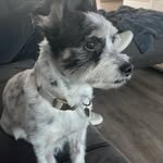 @maryaerts2510 - Instagram