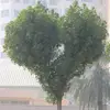 Mary Agara - @maryagara - TikTok