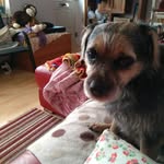 Mary Akers - @mary.akers4 - Instagram