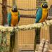 Mary Alder - Facebook