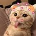 Mary Alfonso - Facebook