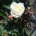 Mary Alfonso - Facebook