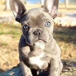 Mary Alicea - @v.mar7445 - Instagram