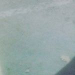 Mary Allbright - @allbright5099 - Instagram