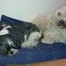 Mary Alloway - Facebook