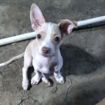 Mary Almendarez - @mary.almendarez.773 - Instagram