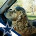 Mary Altizer - Facebook