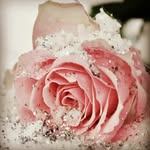 maryalvin - @coolgirl_slimez - Instagram