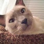 Marycarol Anker - @maryanker2331 - Instagram