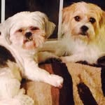 Mary Anson - @mouse15007 - Instagram