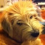 @maryanson - Instagram